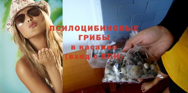 бошки Алексин
