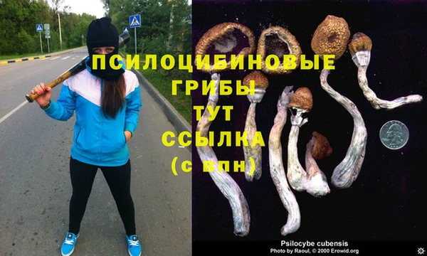 COCAINE Алзамай